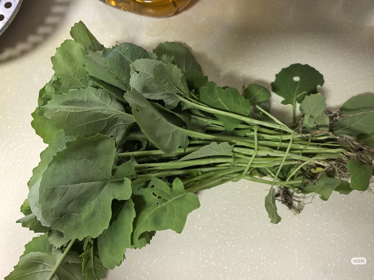 猜一猜！
朋友们：
请大家都来说说吧！

谁知道这是什么菜？