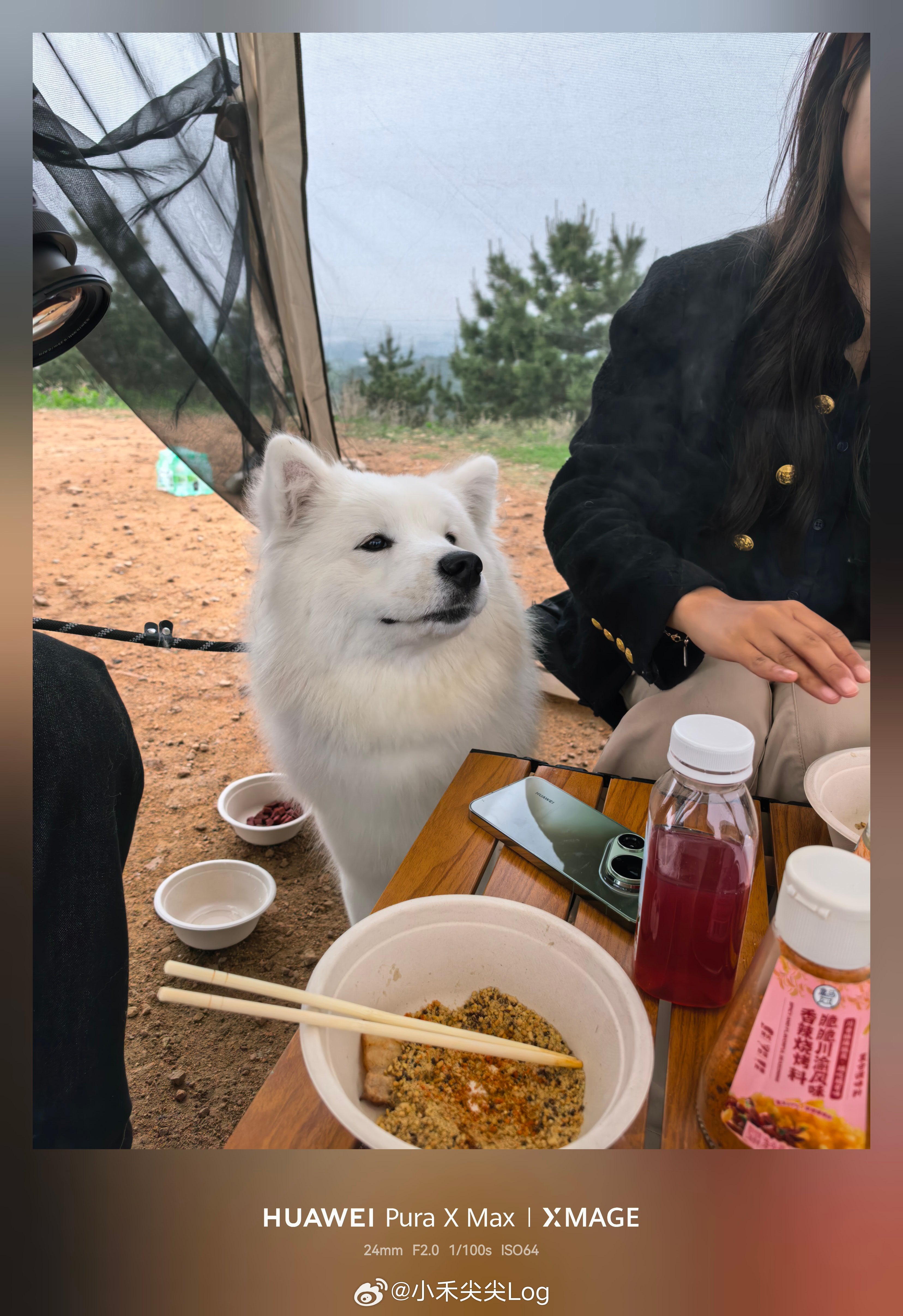 左滑看小狗长大小时候还能抱动，这次见面大到牵都牵不住，胖到睡在后排都会响安全带提