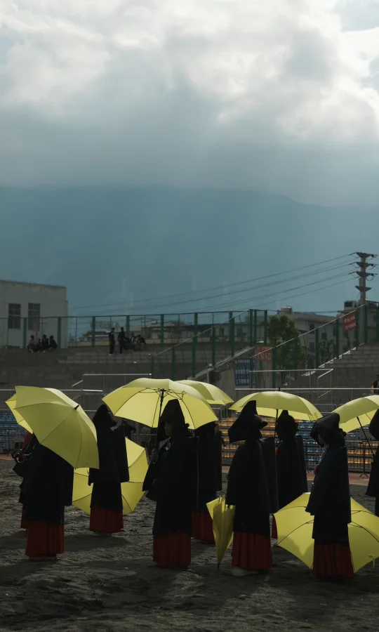 我也来试试小红薯满屏图