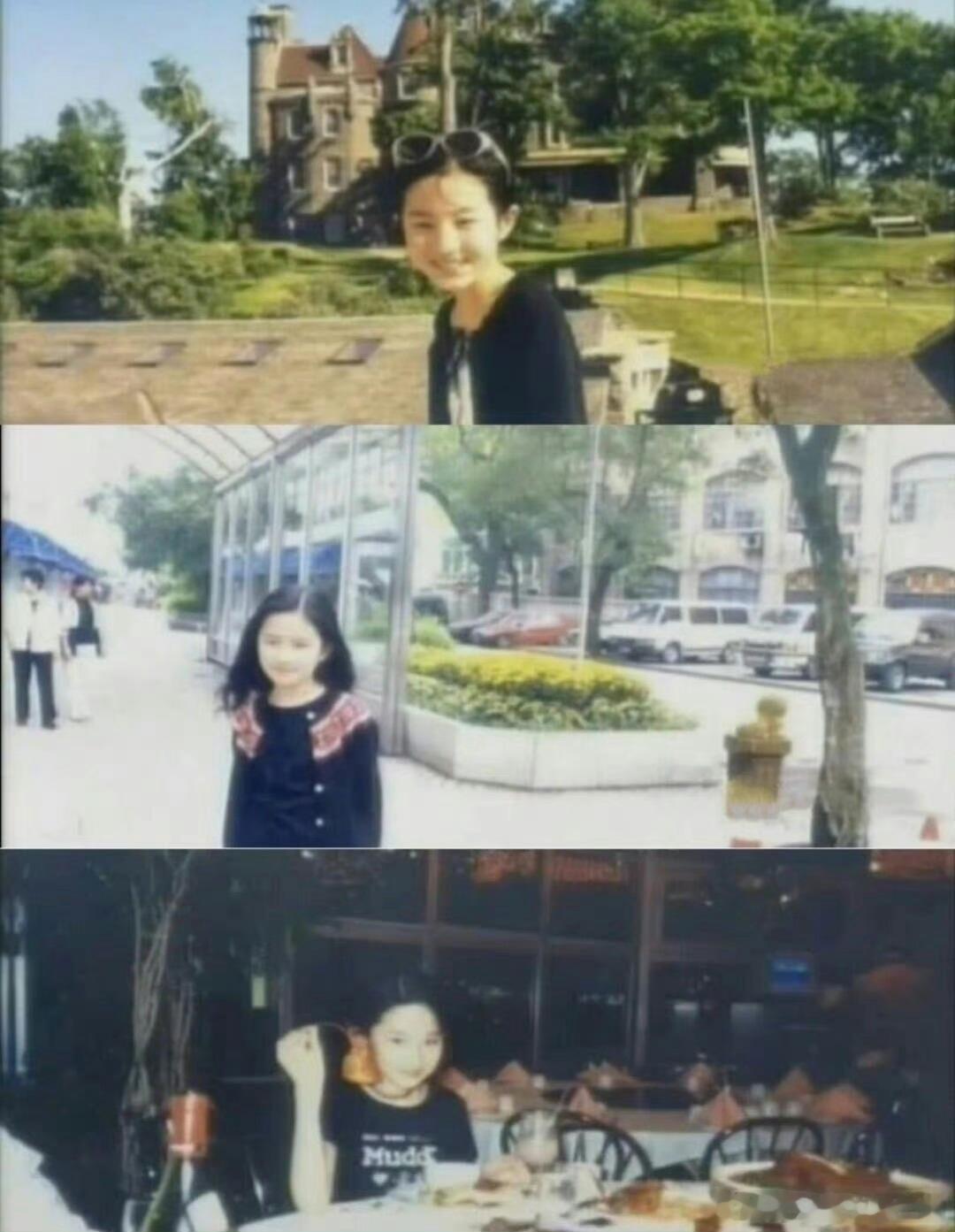 刘亦菲小时候的条件比我现在还好刘亦菲不光从小美到大，英文武术演技还样样能打，书香