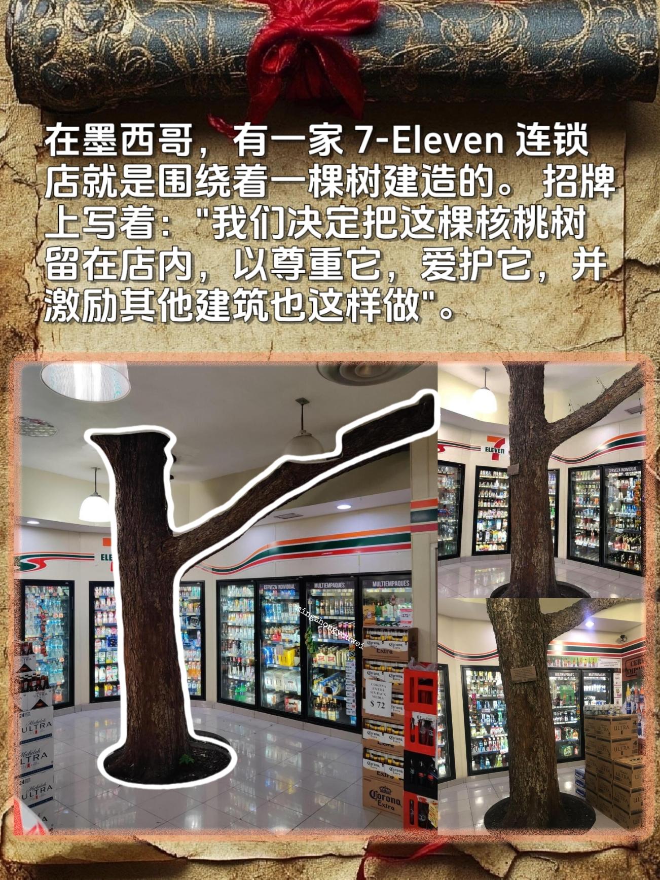 墨西哥，有一家7-Eleven连锁店就是围绕着一棵树建造的。