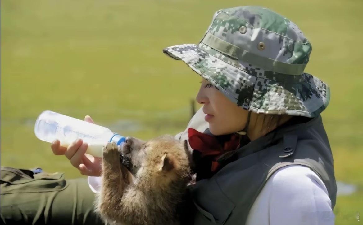 重返狼群女导演的手写签名是格林重返狼群要重映！！！之前欠的电影票可以还了