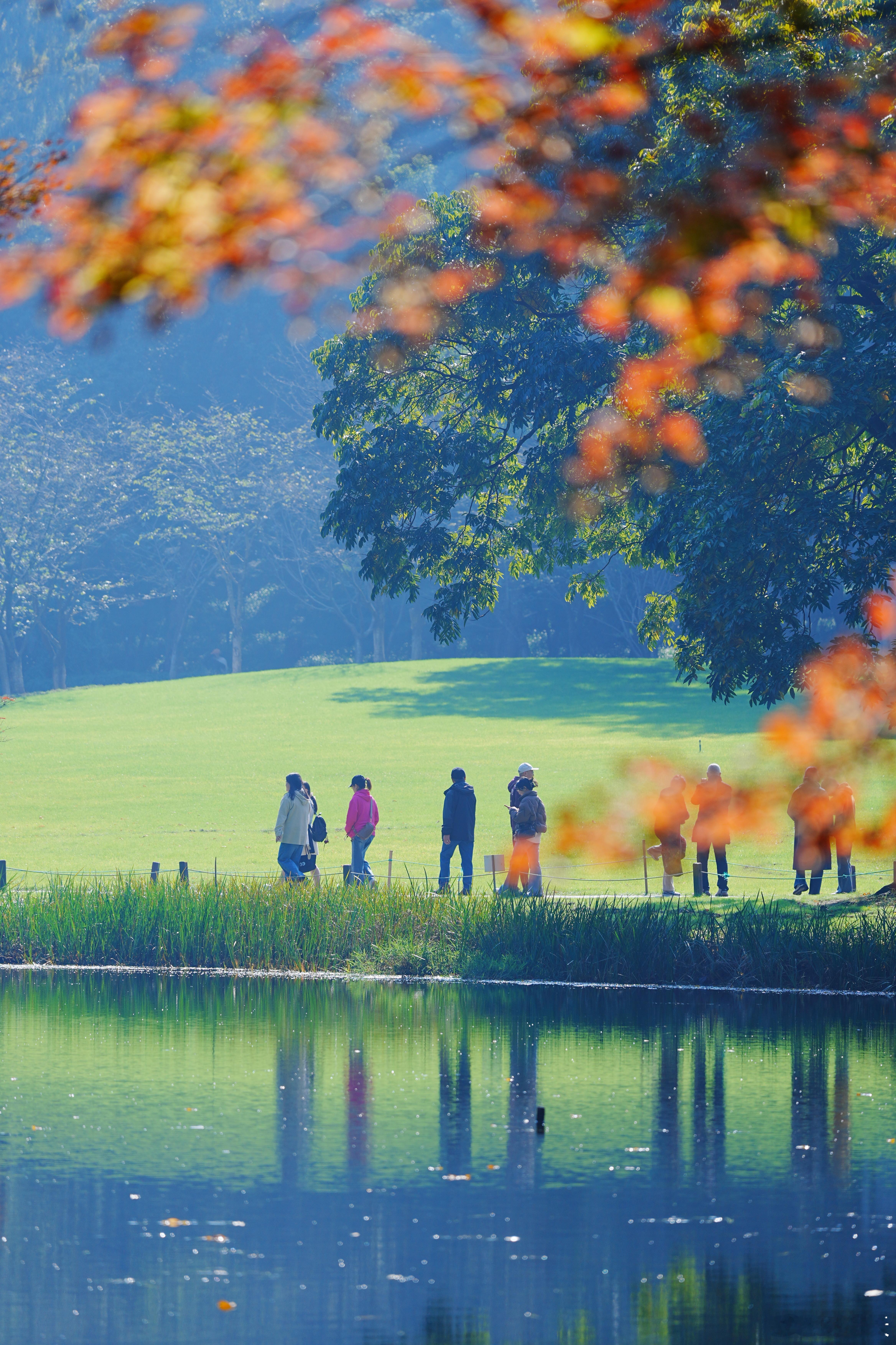 太子湾最美机位吗？ 