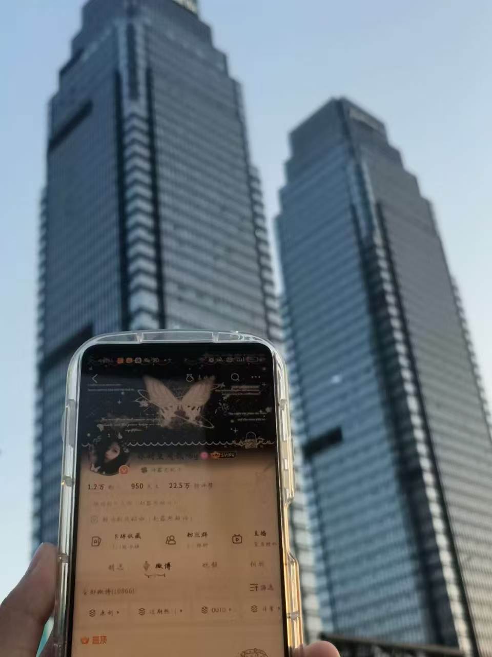 我家姐姐带的id