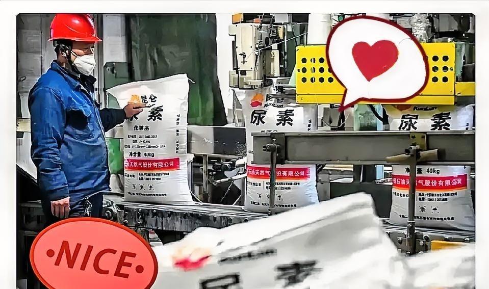 霍尔木兹海峡那边还没消停，谁能想到，我们西北新疆、宁夏和内蒙的尿素厂却忙得脚不沾