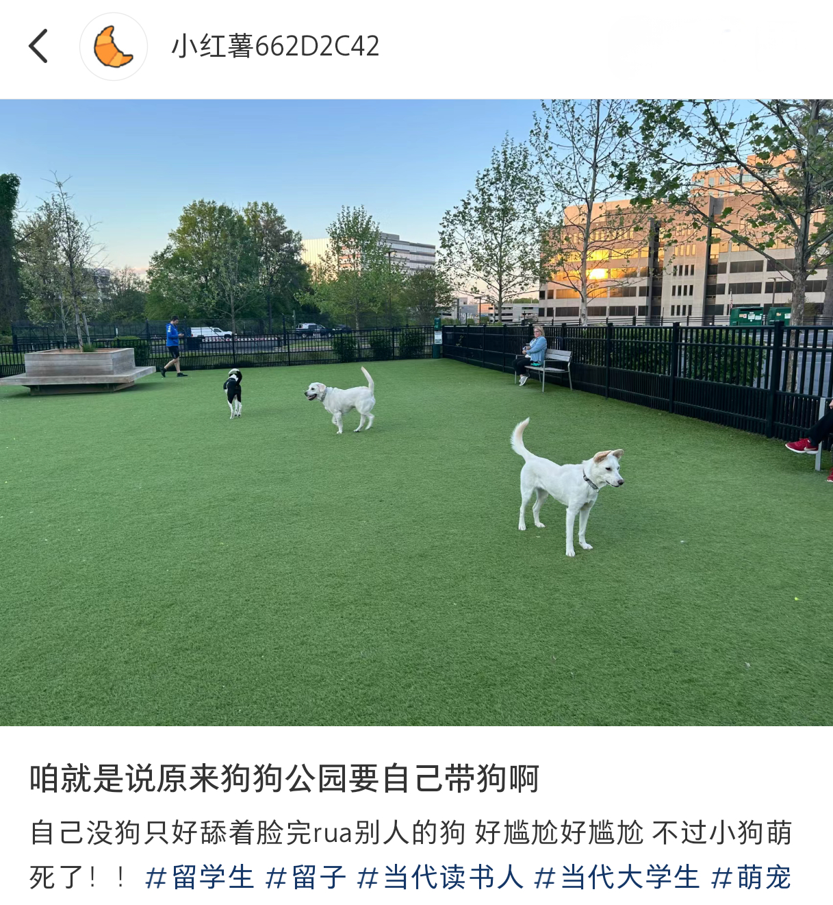 咱就是说原来狗狗公园要自己带狗啊[开学季]#狗狗##户外##ILLIT翻跳New