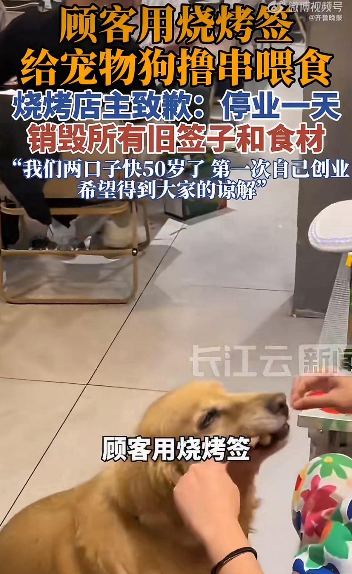 用烧烤签给狗撸串顾客账号已私密又一个！顾客用烤肉签子给宠物狗撸串喂食。最后店家销