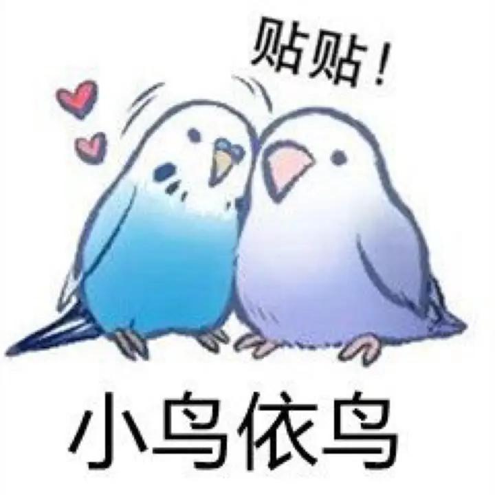 不损害公司的利益，做守规好员工。