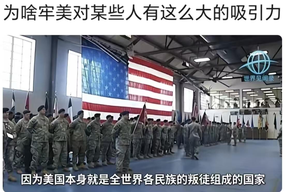 这话没毛病！
为啥牢美对某些人有这么大的吸引力？

因为美国本身就是全世界各民族