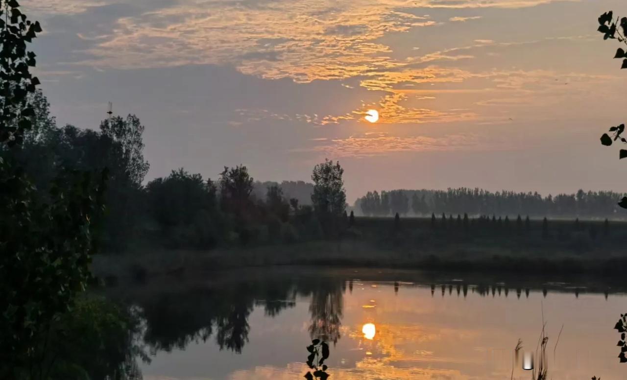七律|秋兴八首之【三】
叶底余红绿间黄，阶前菊蕊冷凝香。
风浮雁阵云中杳，日照山
