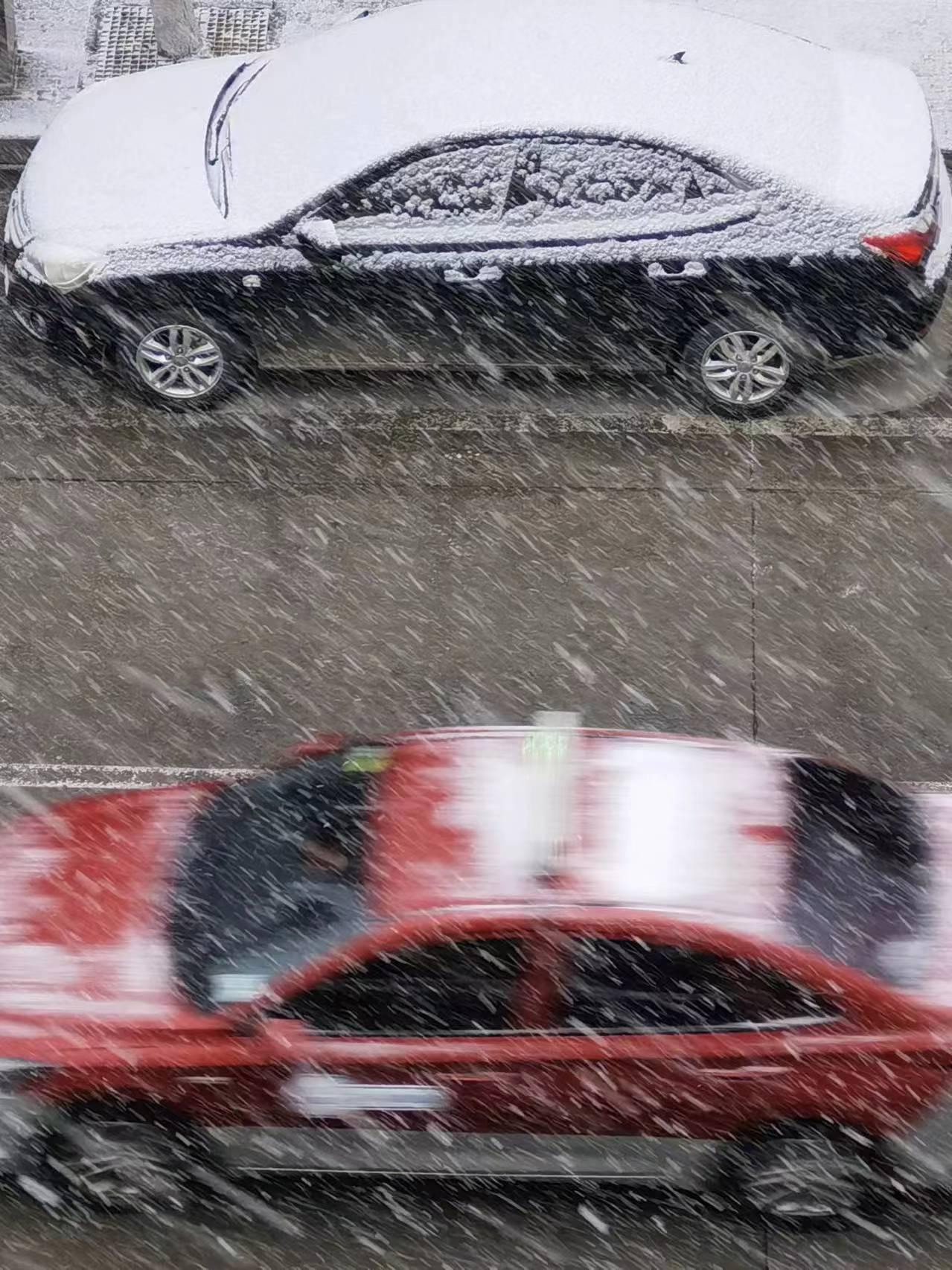 雪正在下！这是天气预报说的小雪？不一会汽车就被雪染白了。#保定生活##下雪了#