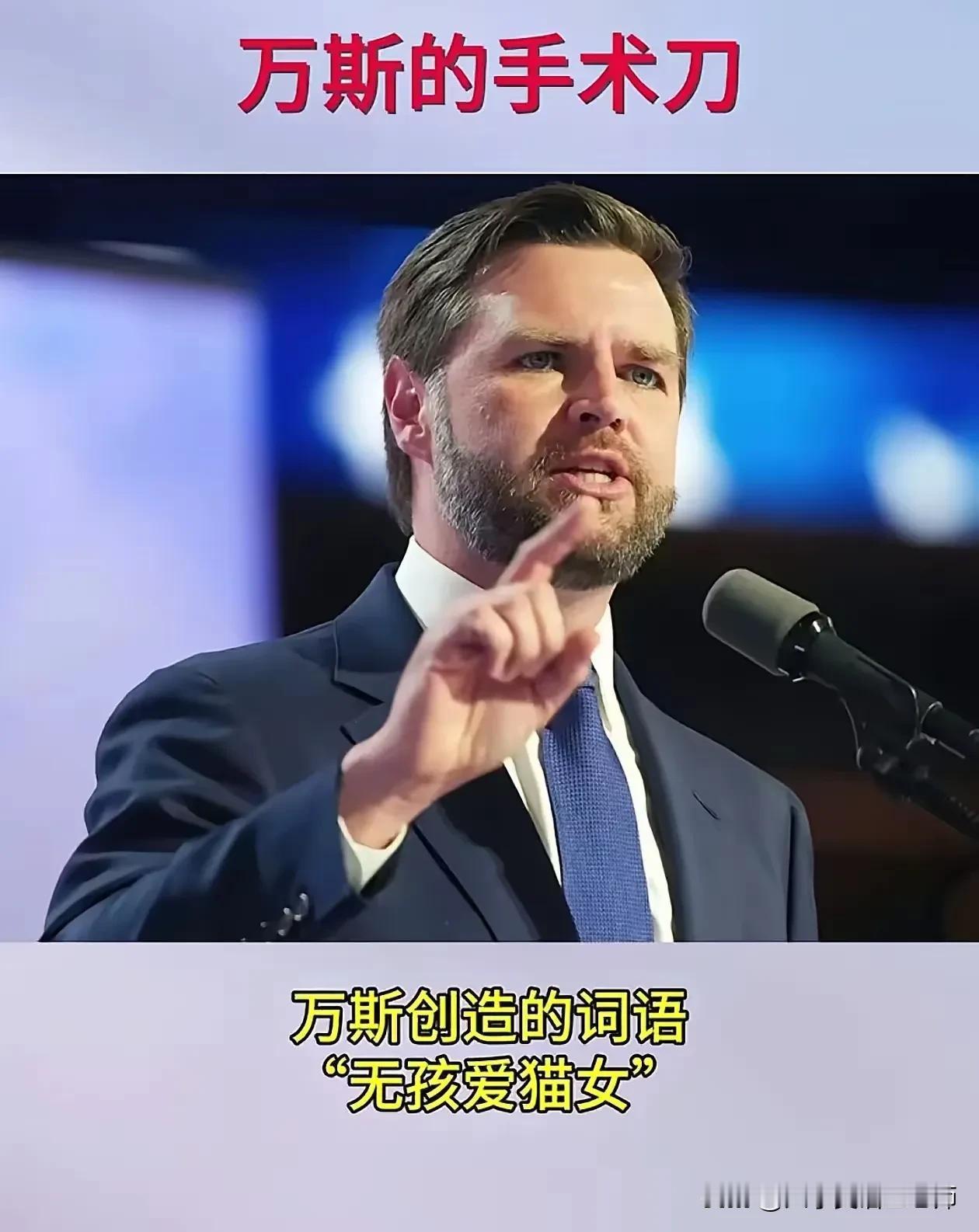对于“无孩爱猫女”，万斯的批判可谓是入木三分！

在万斯看来，那些拒绝生育子女的