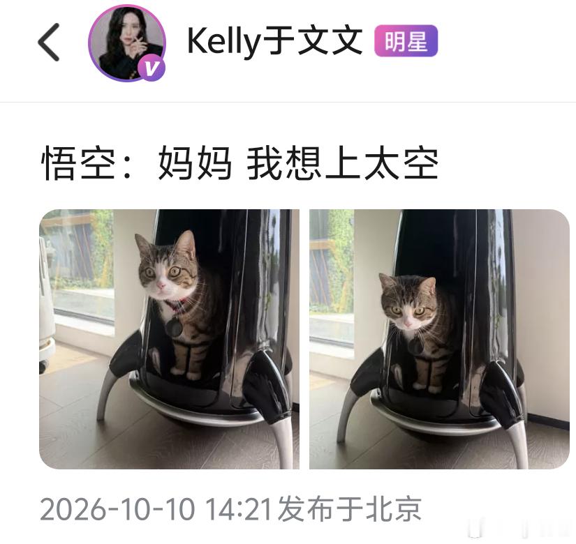 想做于文文的猫 🦊萌宠播主更新🧩🍡“悟空：妈妈 我想上太空”哎呦这不是之前