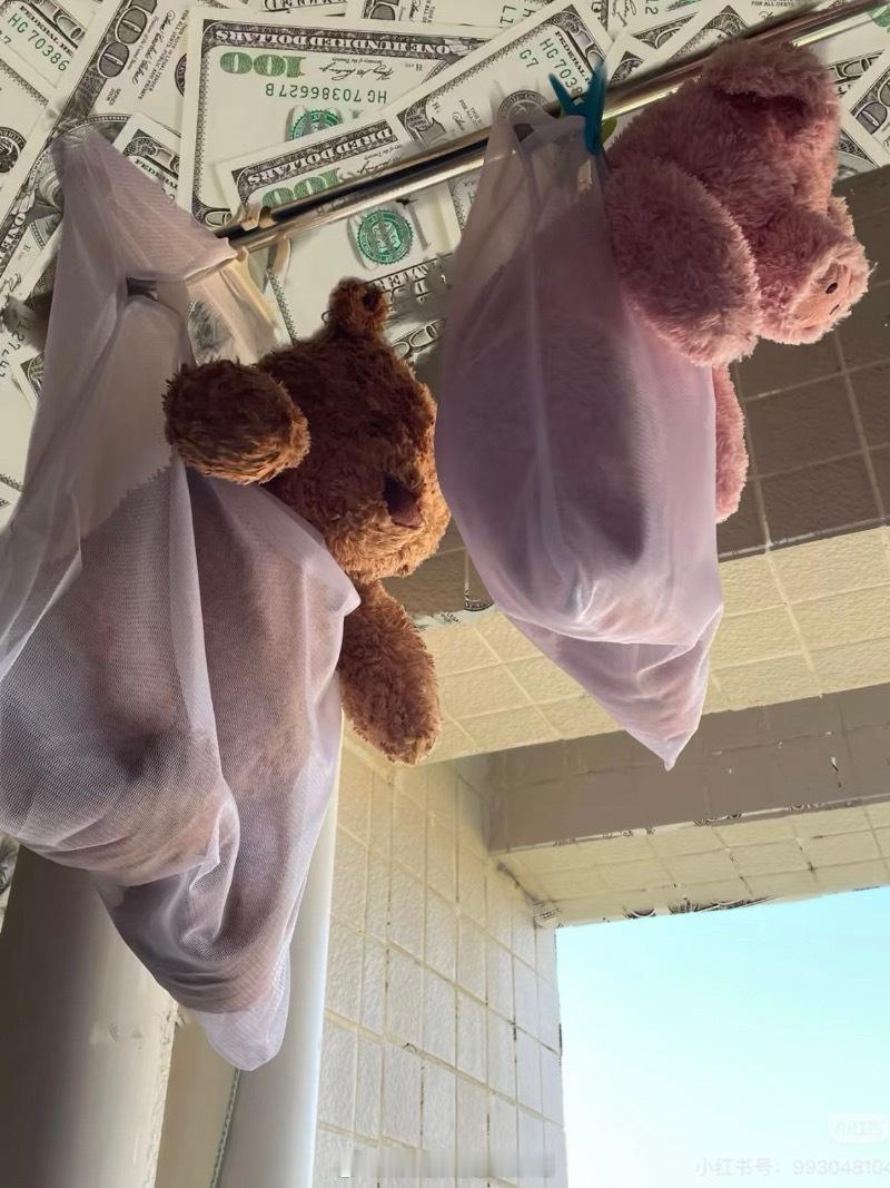 永远想不到妈妈会用什么方式晾玩偶不同玩偶有不同晒法好天气正是洗玩偶的好时候～春风