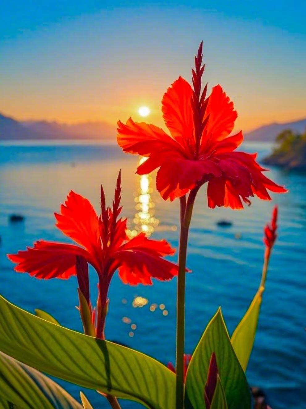 日出花含笑，求下联

上联：日出花含笑
下联：霞飞水映红