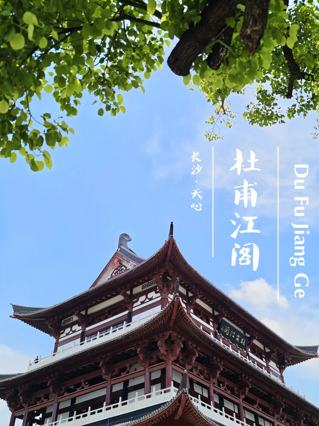 杜甫江阁｜听劝，白天别浪费20块钱进去