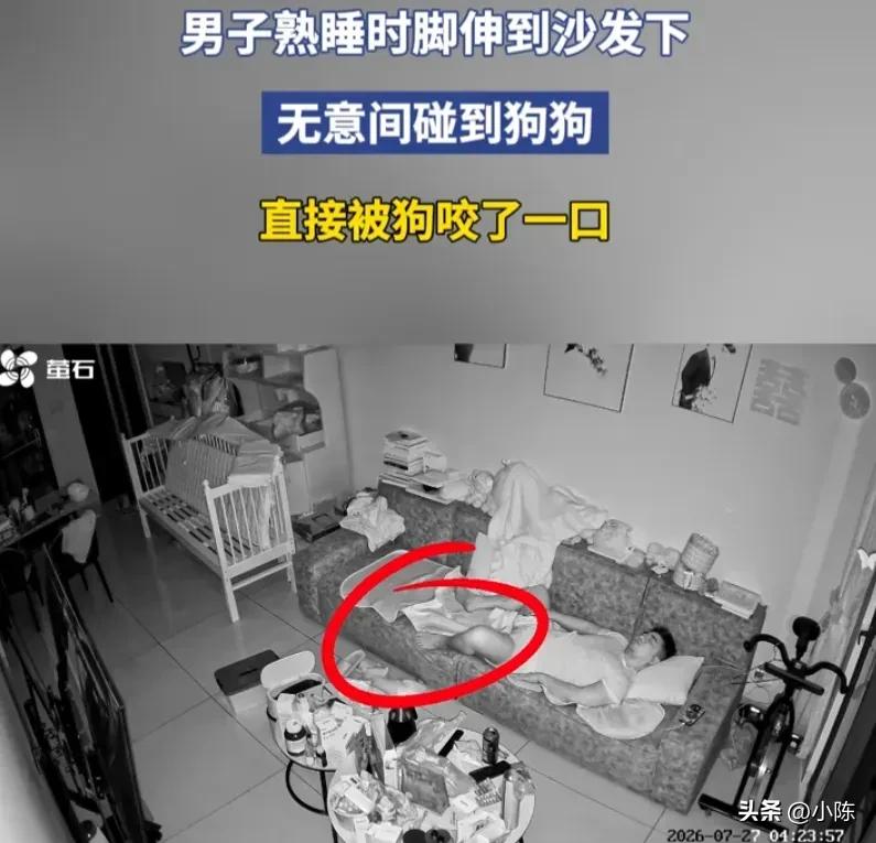 真够倒霉的！男子躺在沙发上熟睡，睡梦中不小心把脚伸到沙发下，期间，他的脚无意间碰