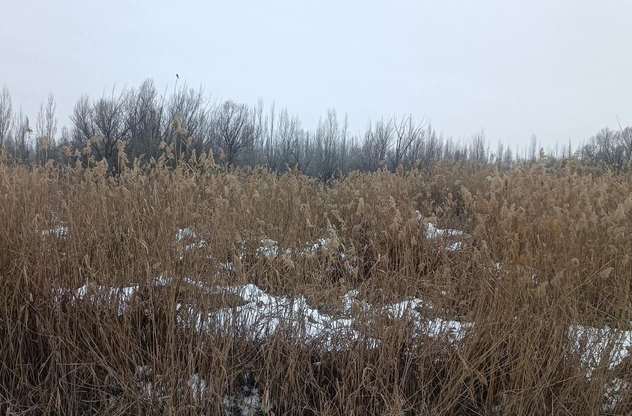 结婚三十几年了，都是在外打工，回去老家。自己购置年货，打扫卫生，晒被子、铺床、做