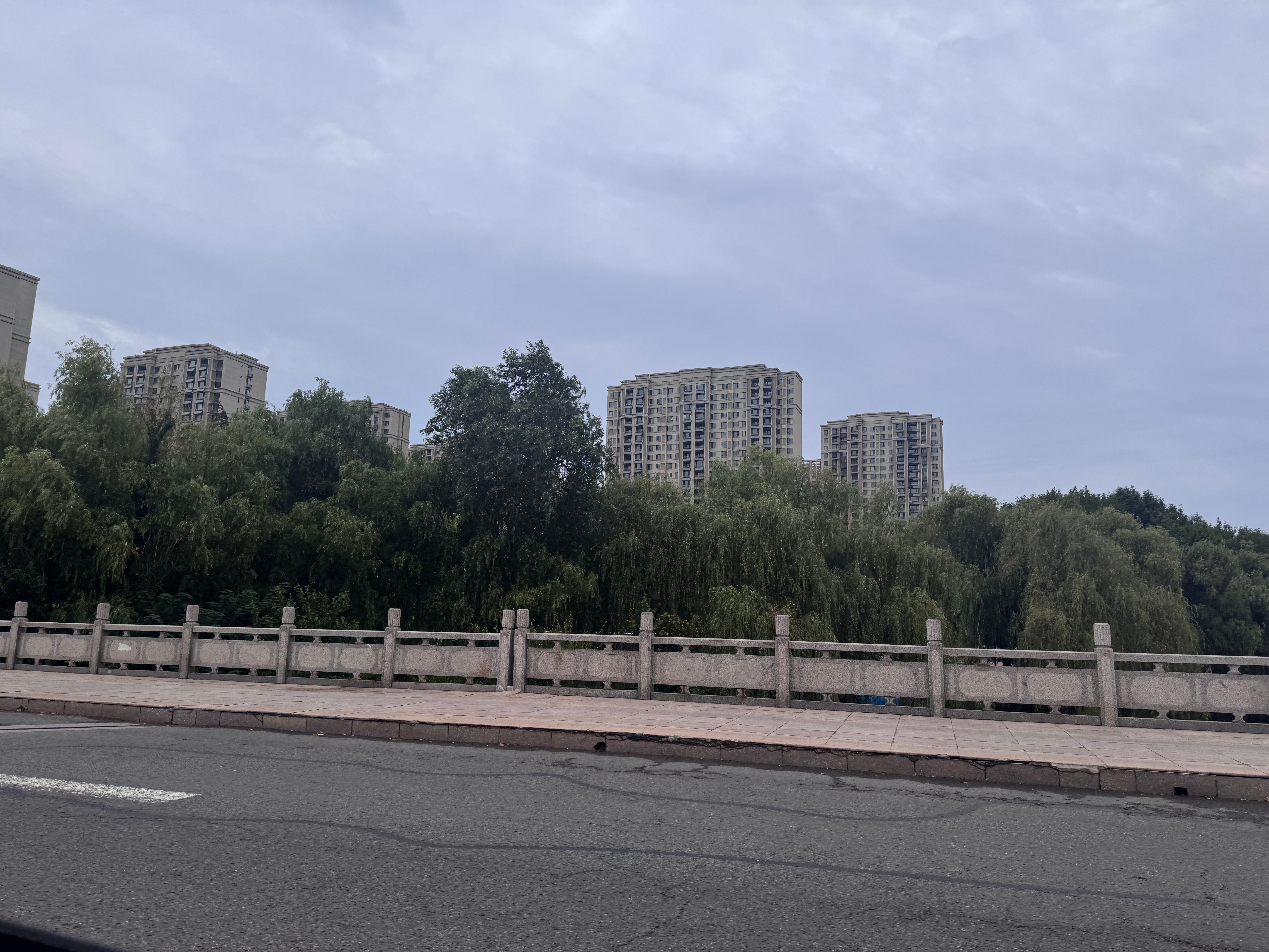 又出发了希望上海不再下雨🌧️（但好像很困难）不过白海豚好像是走了 