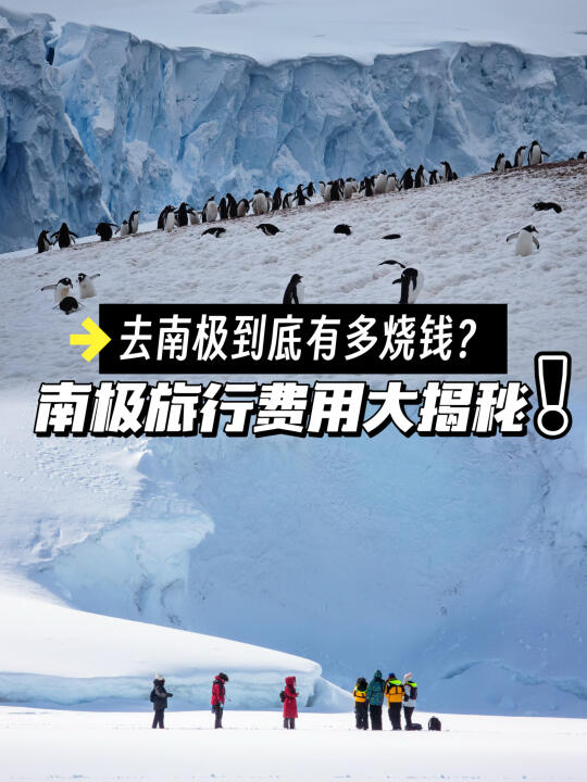 去一趟南极旅行，到底多烧钱？真相来了‼️