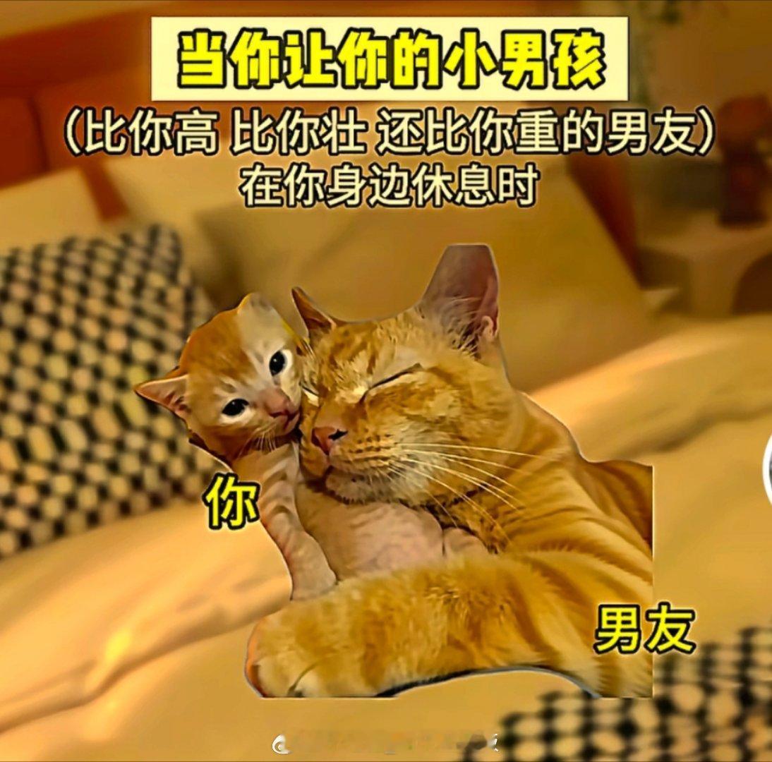 腿子的日常： 