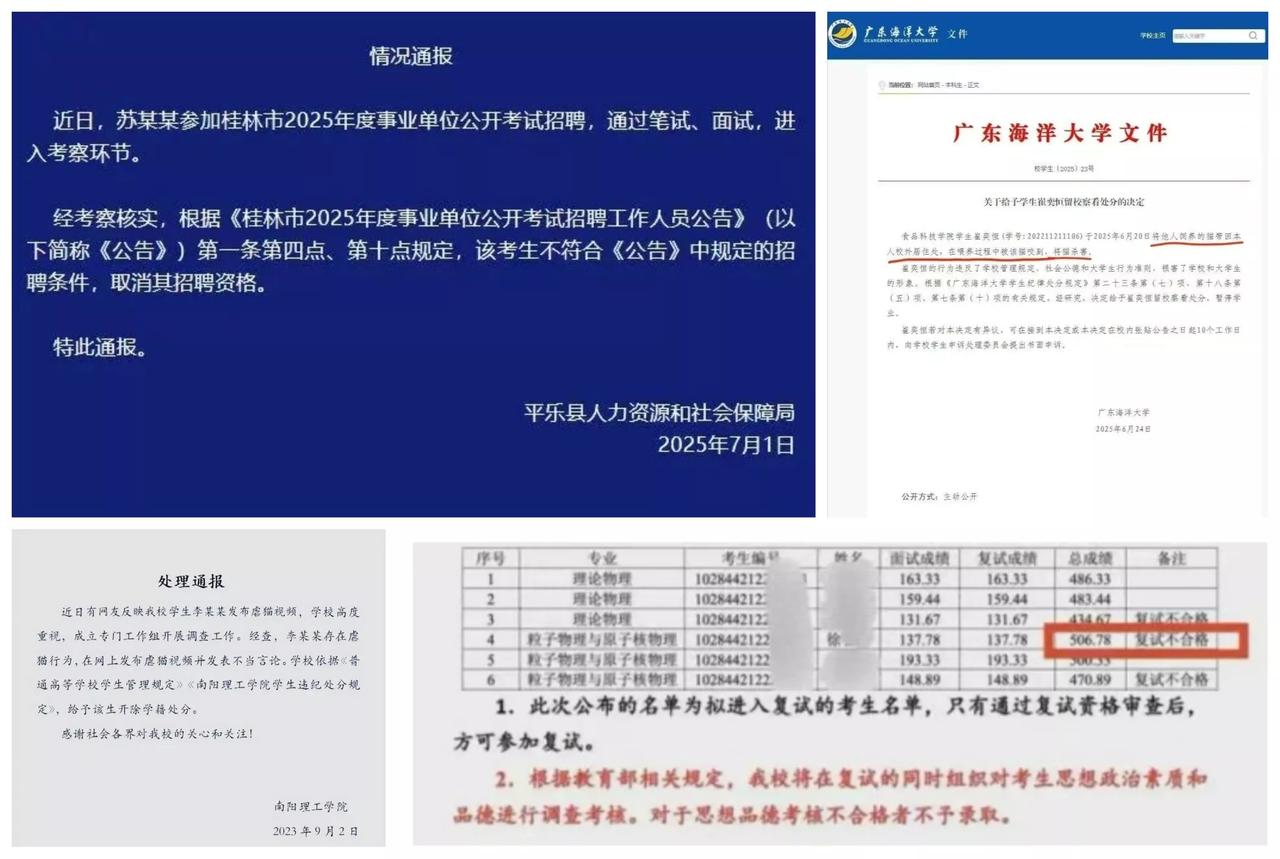 大快人心！因“虐猫”被取消录用，苏某鹏并非个例，接二连三的案例敲响警钟！

20