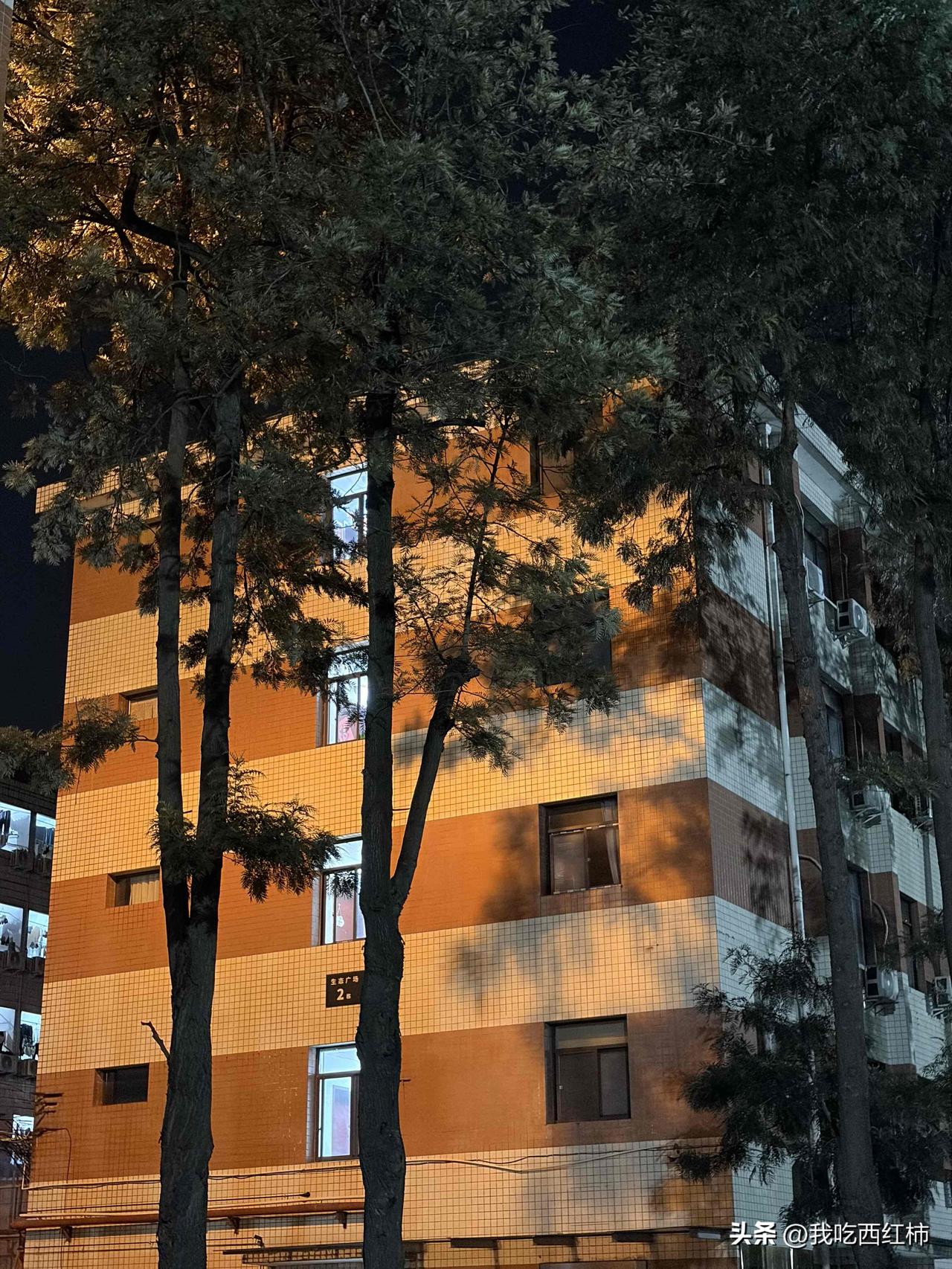 被我妈介绍的相亲对象丑哭
令人崩溃的三月
本来早出晚归写论文降重tm烦
四月又到