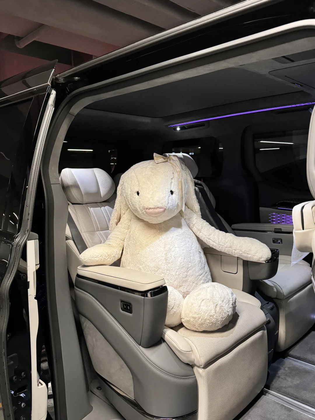 Jellycat超级兔兔王🐰