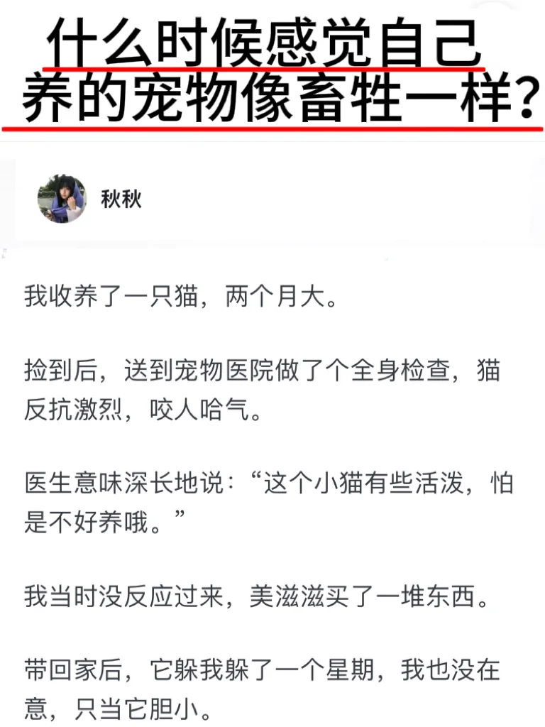 什么时候感觉自己养的宠物像畜牲一样？