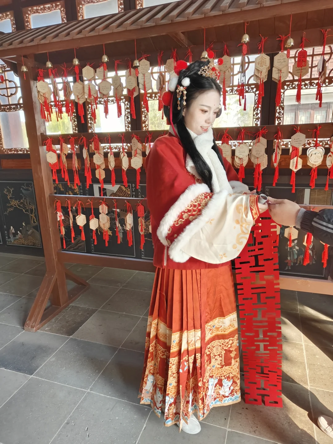 双十二来桃花坞领🆓的蝴蝶兰啦❗❗❗