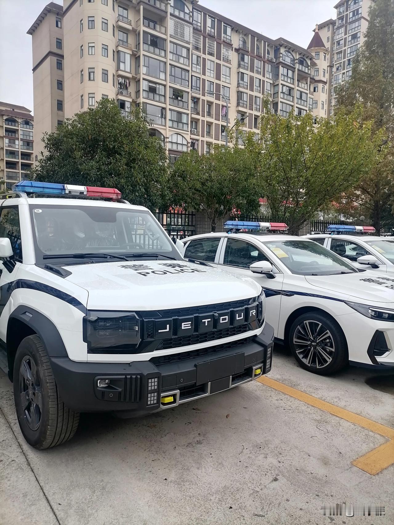 国产网红车也有了编制，这至少能说明三个趋势。一是公车采购不再是一家独大；而是国产