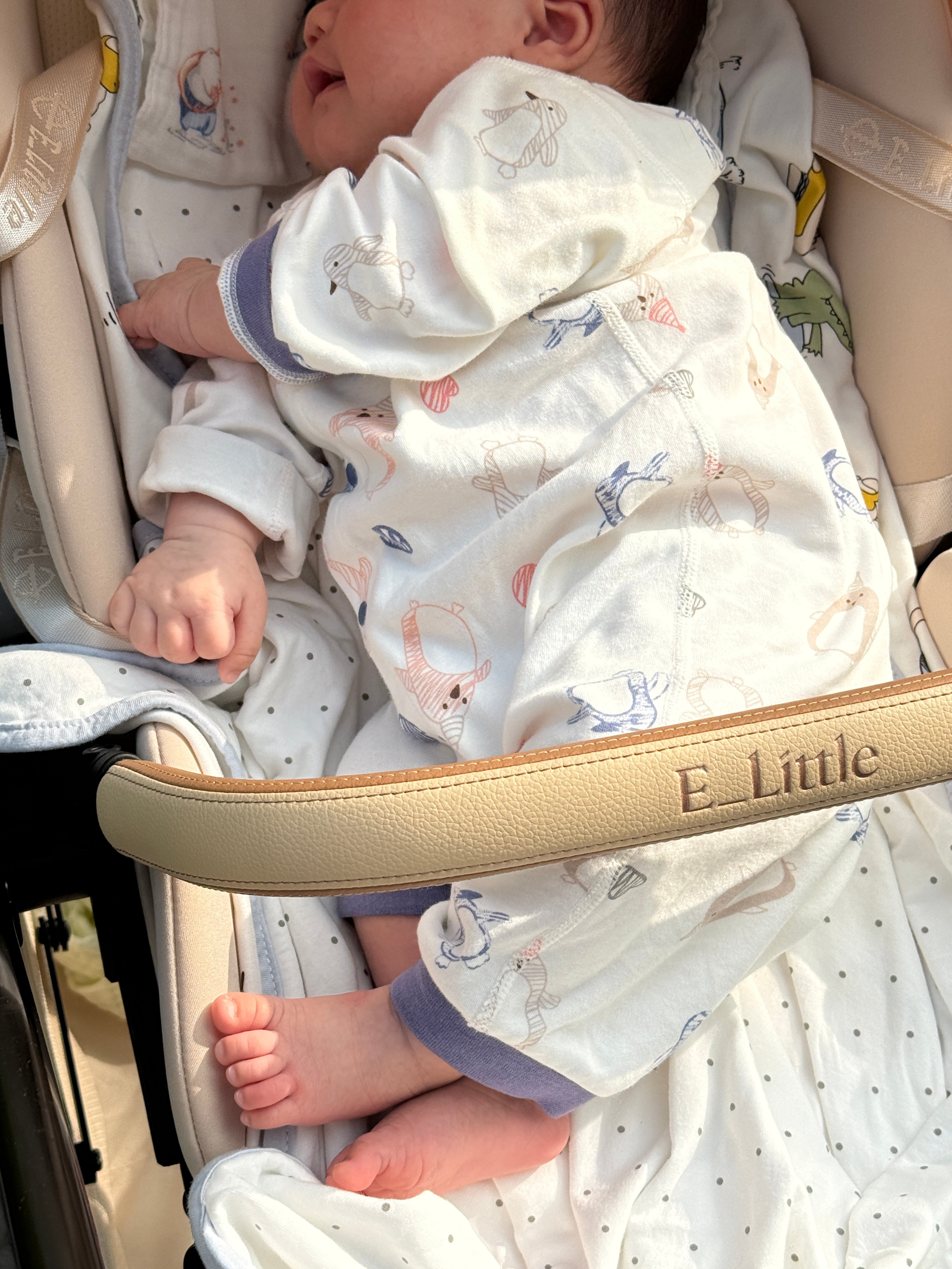 早啊朋友们，晒太阳去咯