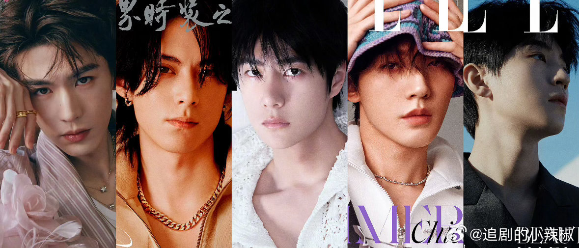 这么看elle还是很看重时尚力的，都不土 