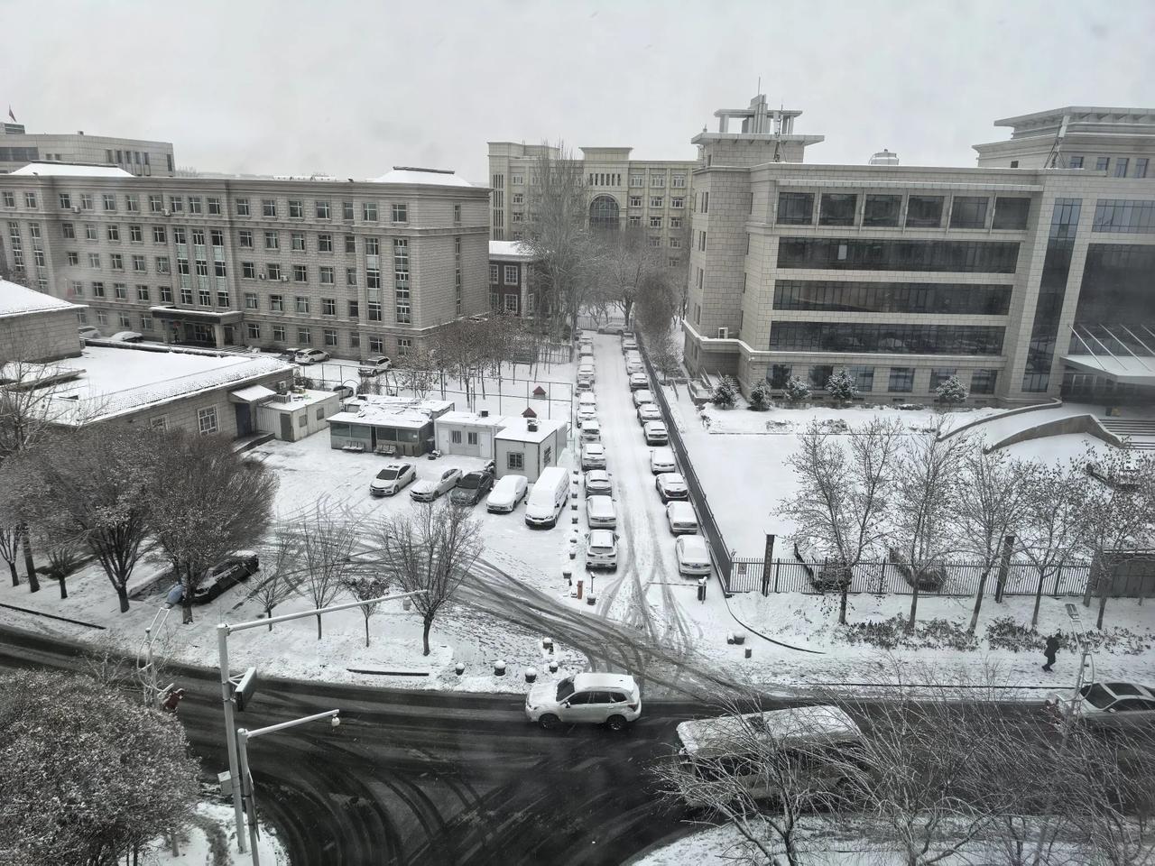 3月13日，乌鲁木齐，瑞雪兆丰年你。