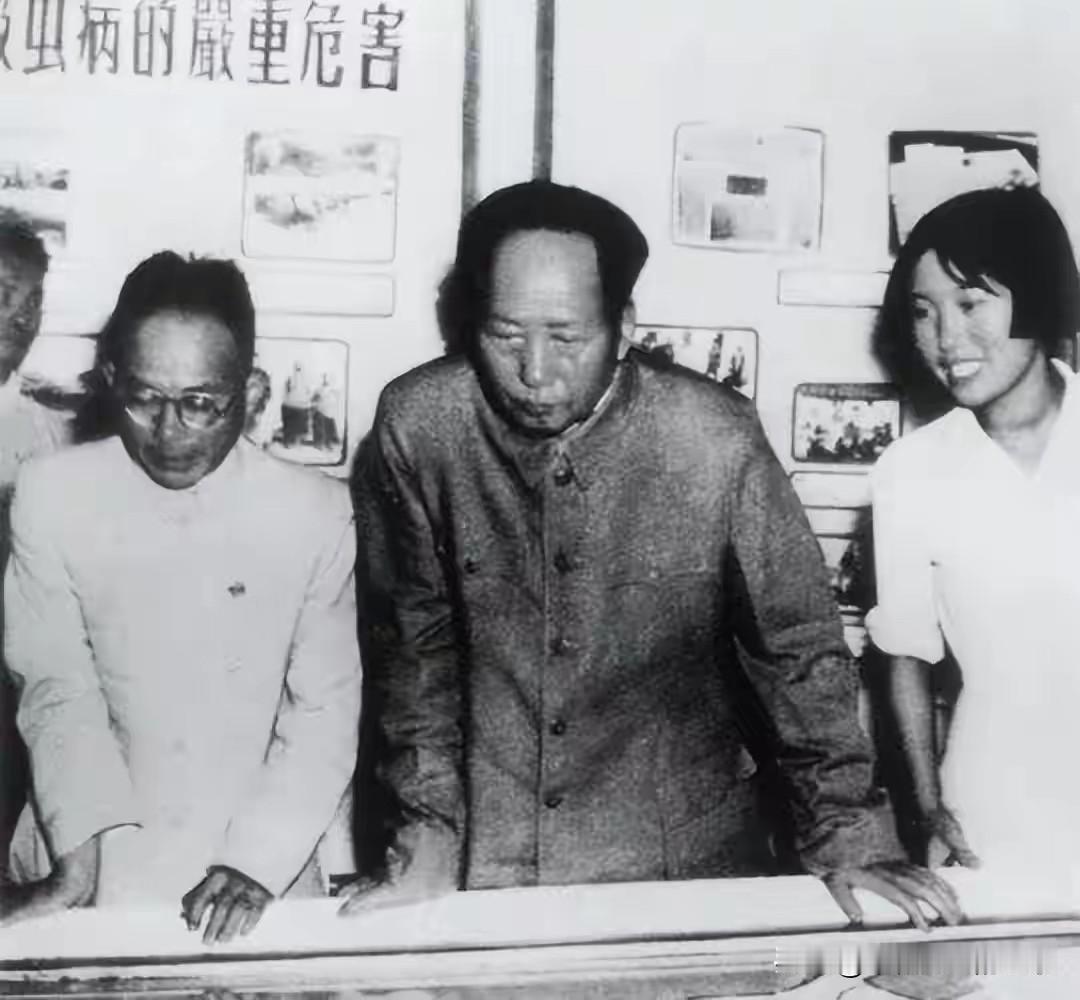 千秋歌颂毛泽东
万代齐唱东方红
坚持社会主义制度，
确保国家长治久安！