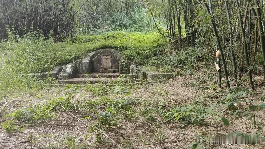 揭西山区里发现一座古墓，旁边还有一座土地神之墓守护着，十分霸气，周围都是林，据当