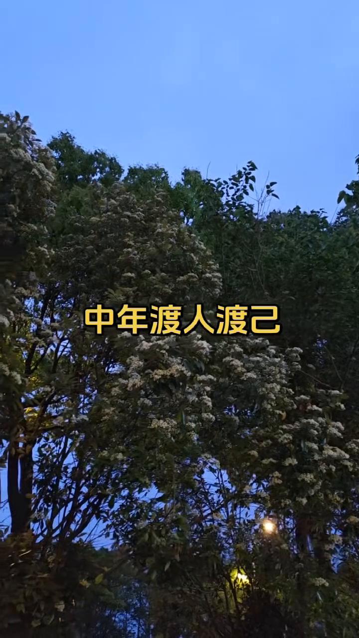 中年渡人渡己。
在我最难的时候，谁也没有让我变好，那是我一点一点熬过来的。没人帮