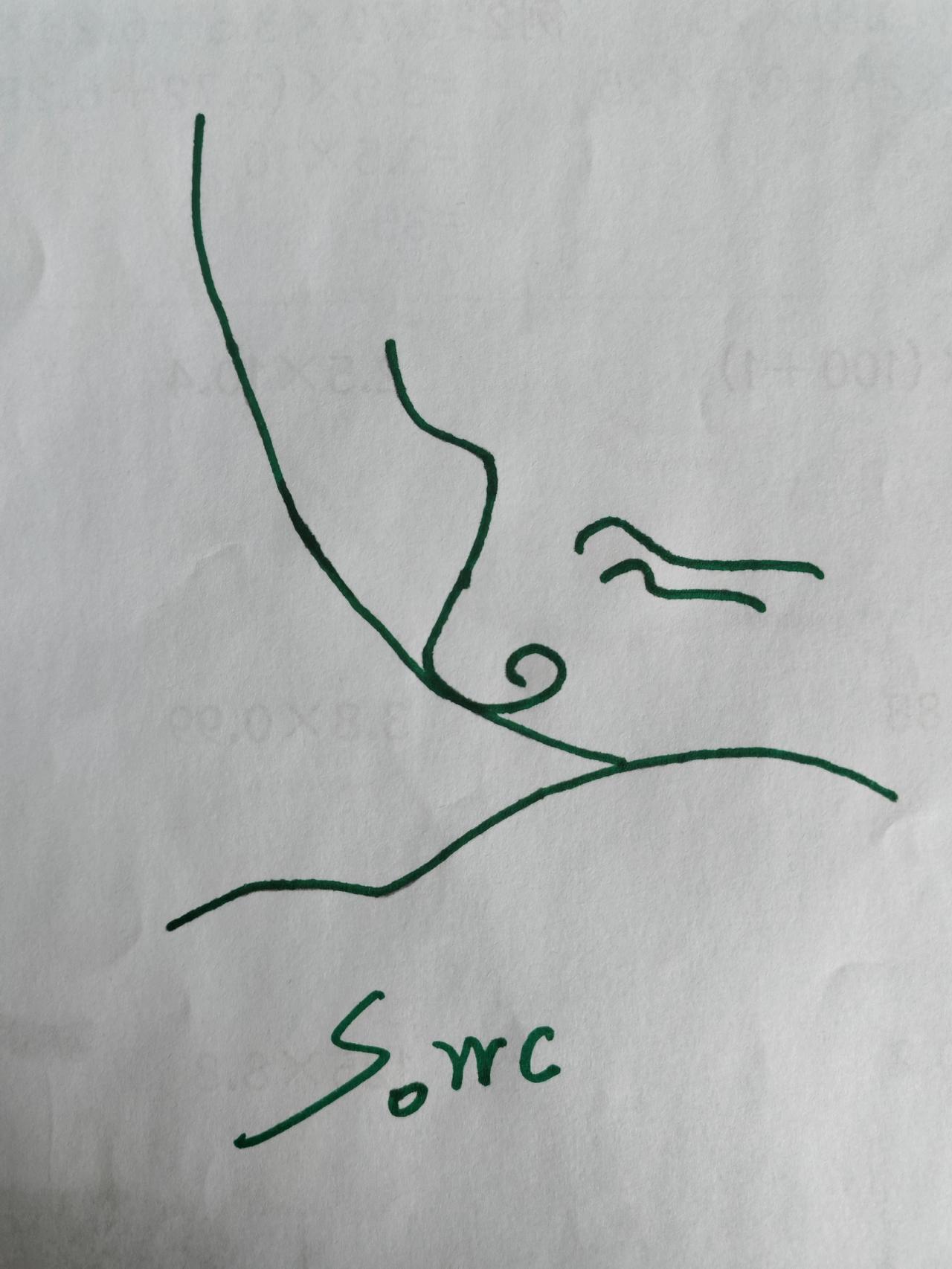 懂的人都懂 
搞笑灵魂画手 简笔画 懂的人都是老司机