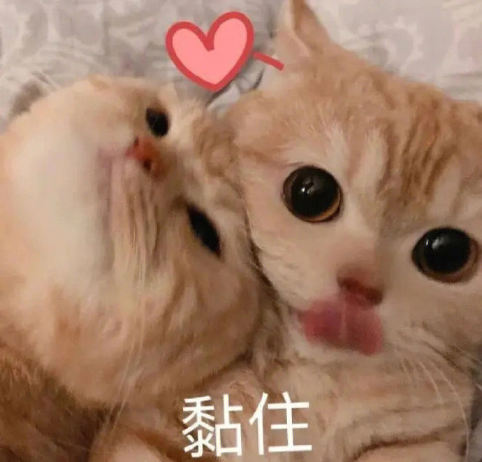 “尽量开心尽量早睡尽量快乐” 