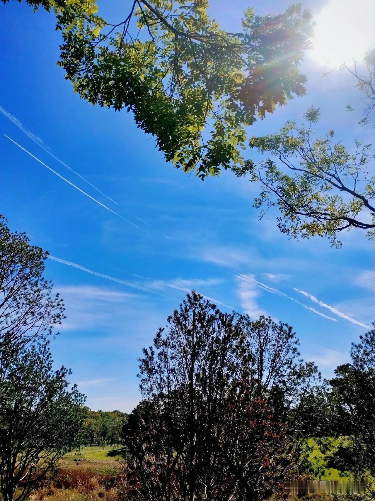 阳光洒满大地，
天空湛蓝如洗……
#一张图证明秋天来了#
 #分享秋季天空# 
