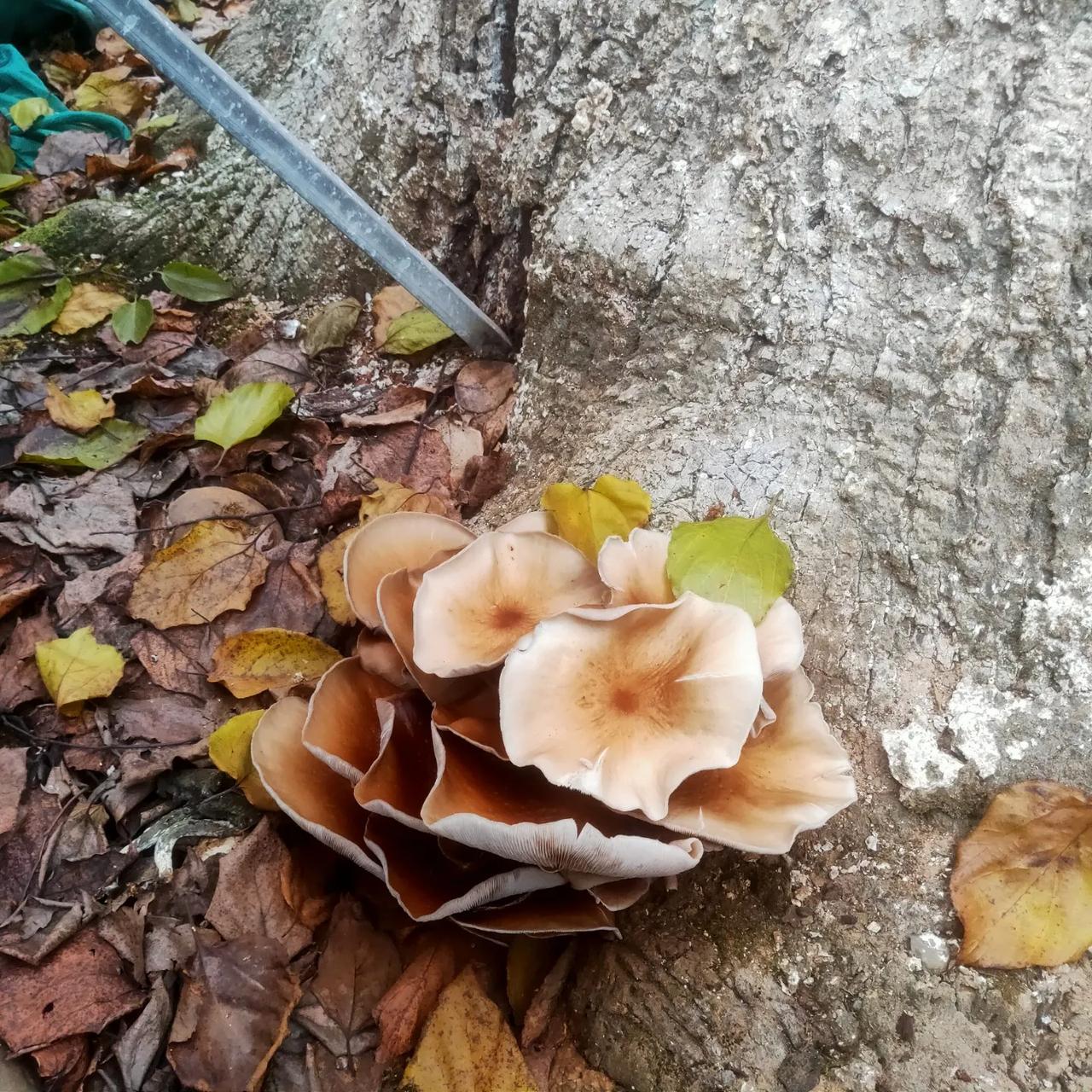 冬日生活打卡季