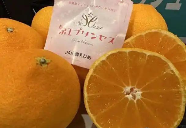高价独家梦碎！日本红公主柑橘外流，戳破种苗垄断幻想

近日，日本农相铃木宪和在记