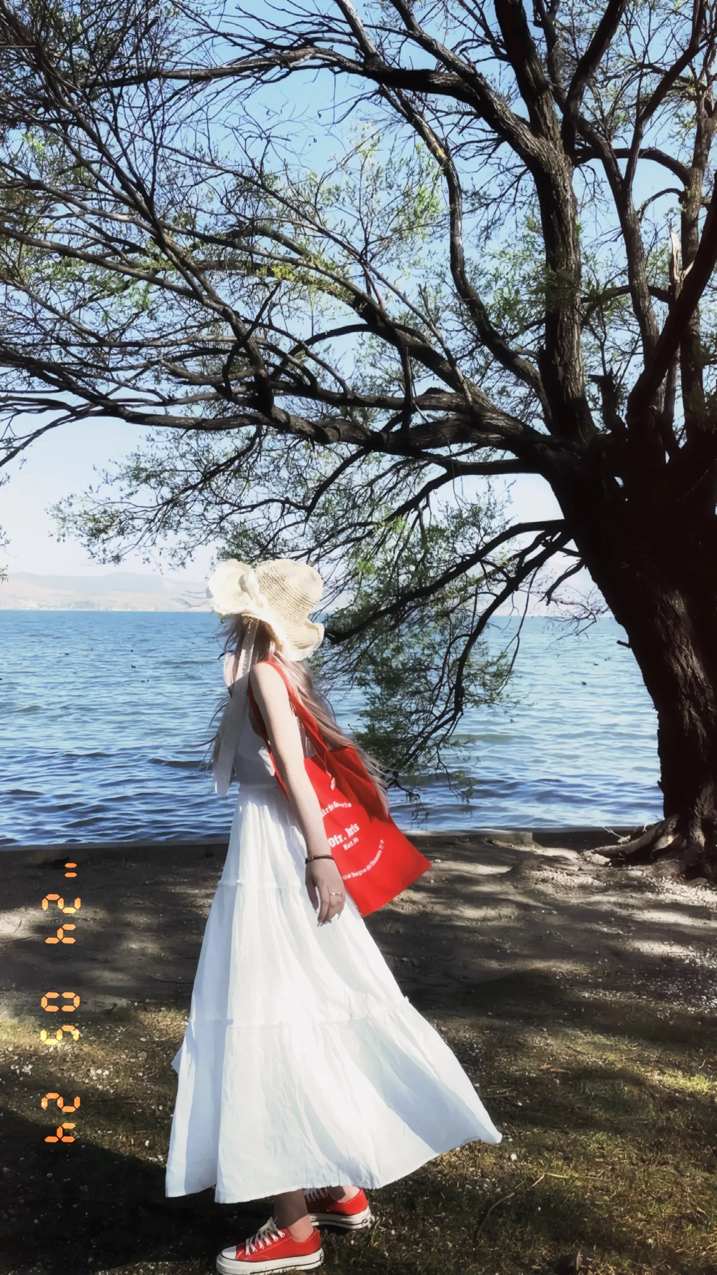 风是自由的 你也是。