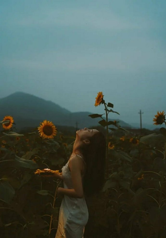 一个人的不幸，是从羡慕别人开始的。若你总是试图变成想象中的某个人，难题就来了。人
