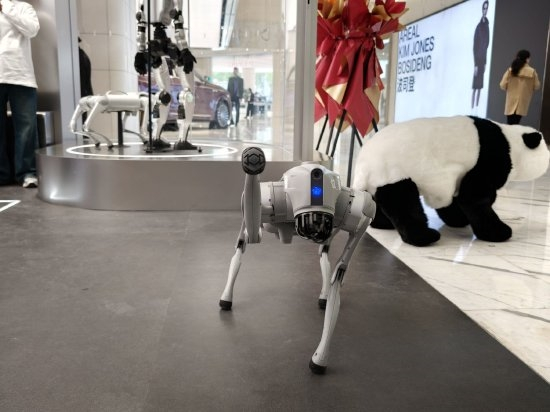 【宇树科技首家直营店开业 人形机器人售价最高超10万 高管：目前没折扣 价格亲民