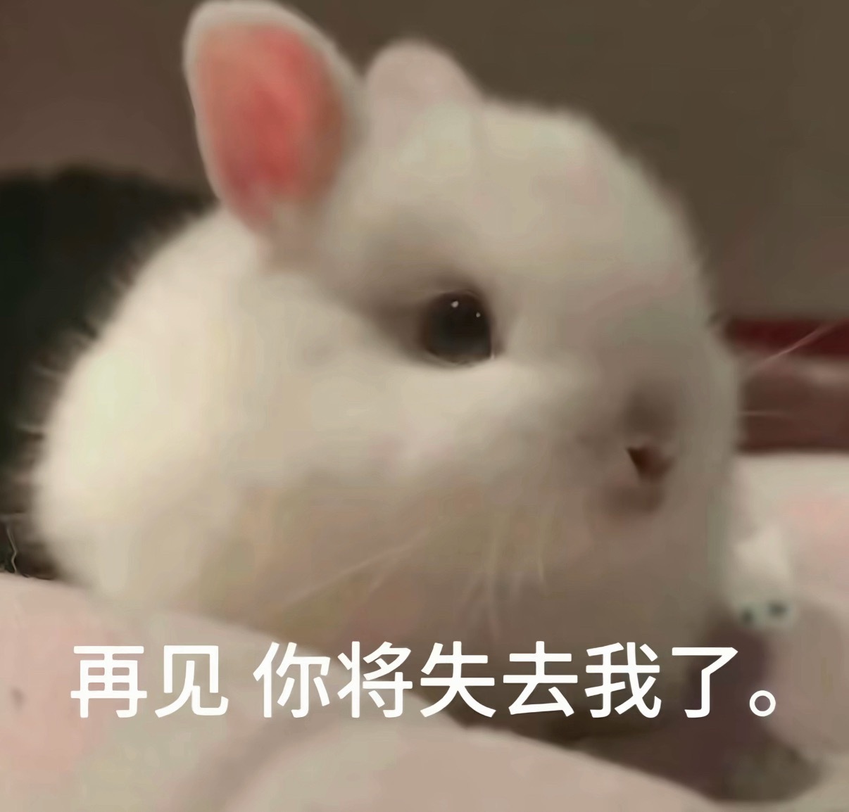 在萧山机场半空盘旋了半小时才落地 谁懂有多恶心 天气原因 一直原地绕啊绕！而且我