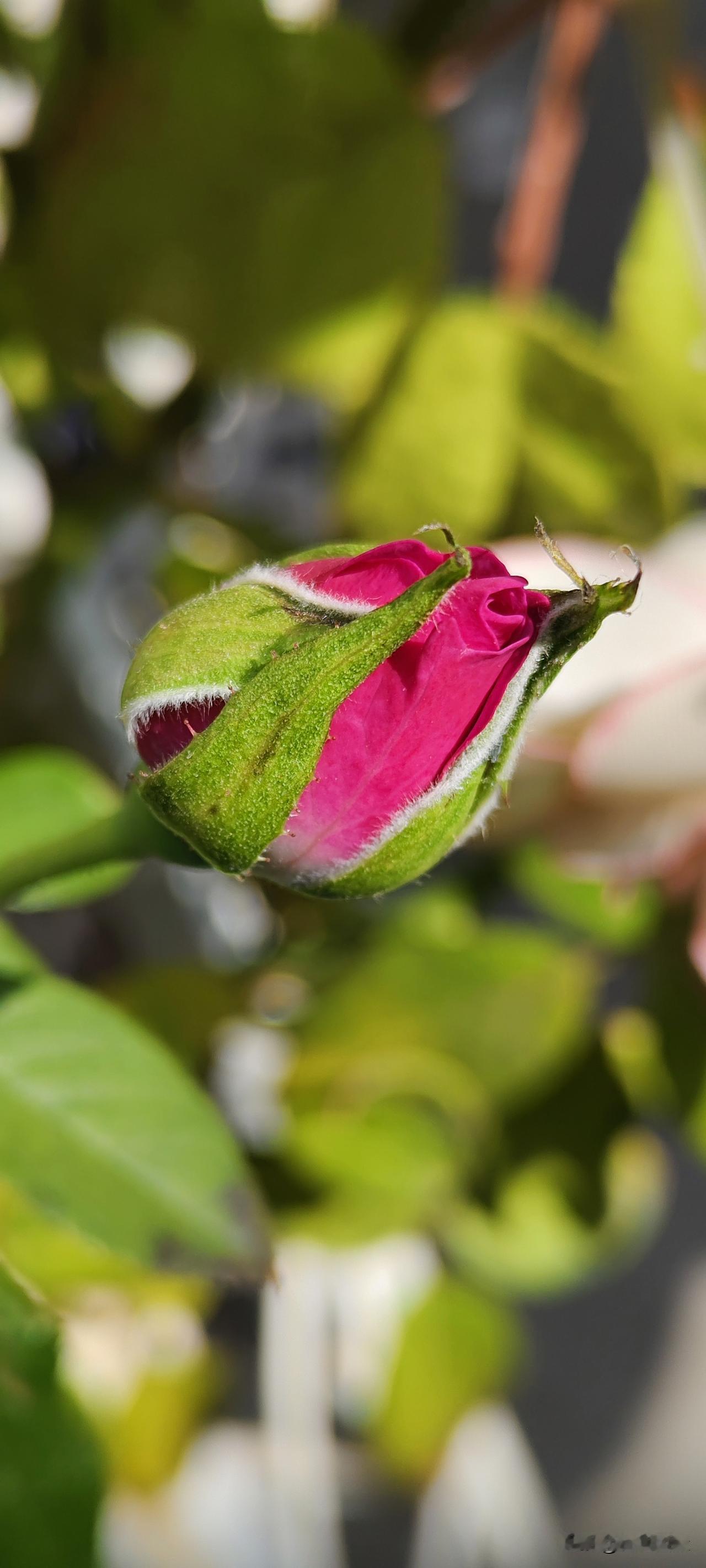 新能源车取代燃油车还要几年?关键不是几年，而是有几个问题必须得到彻底解决。
第一