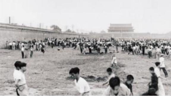 1949年，国家组织了7万人在北京故宫里清理垃圾，历时9个月清理出清末以来近40