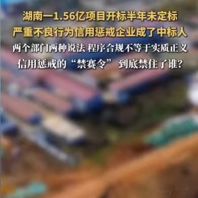 湖南，一个生态整治工程，占地21万平方米，包含多项配套设施，总投资1.56亿多元