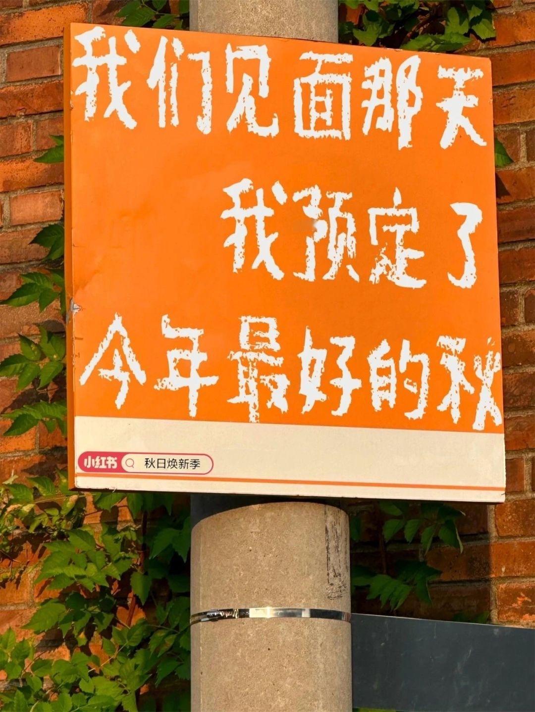 没有边角料，都是主旋律🎶 ​​​